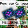 Purchase Kamagra 03